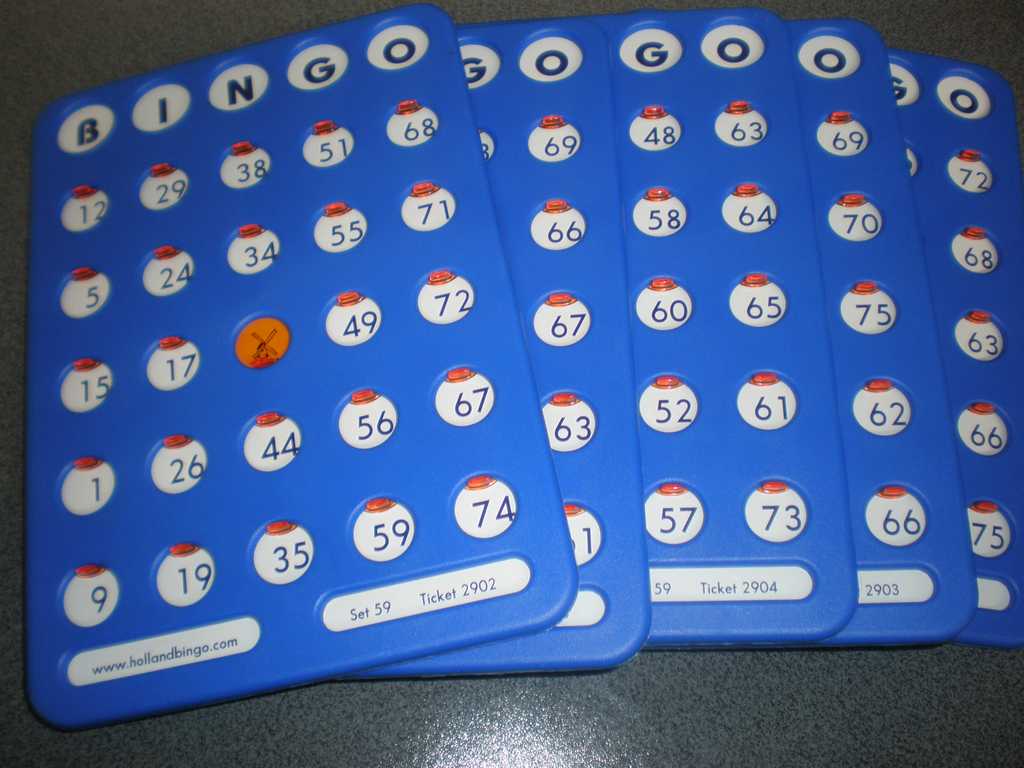 Bingokaarten (100 stuks) 2